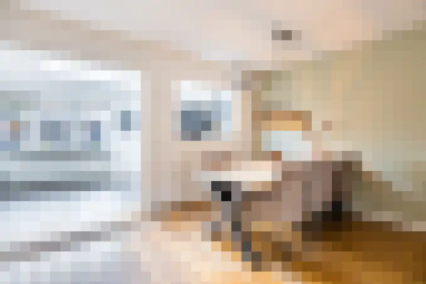 Fazantendrift 6 Gilze thumbnail 12