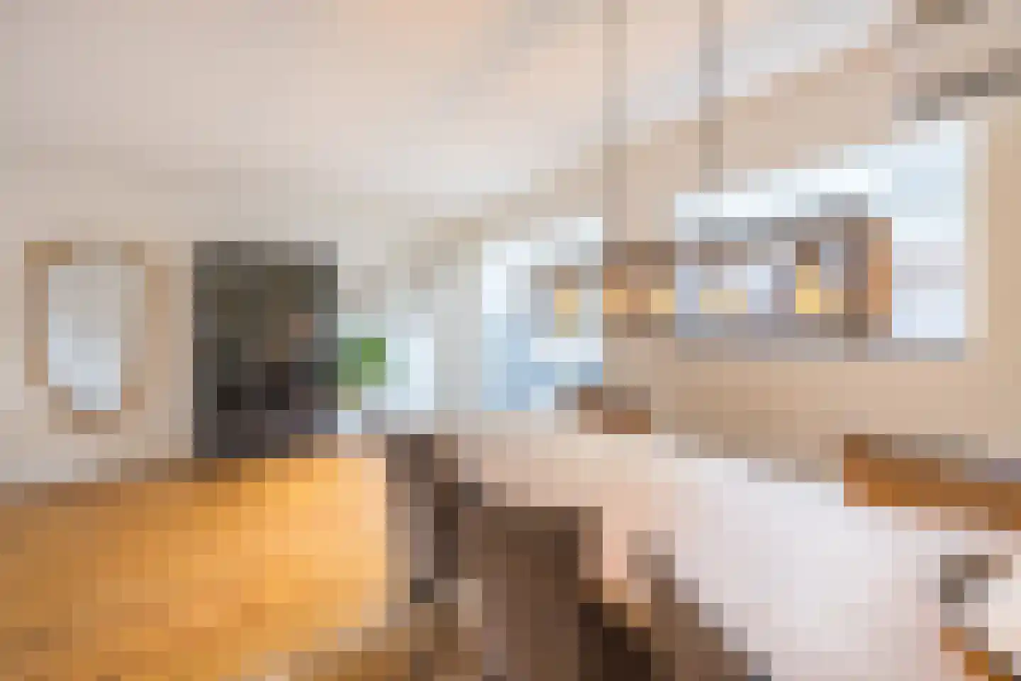 Fazantendrift 6 Gilze thumbnail 13