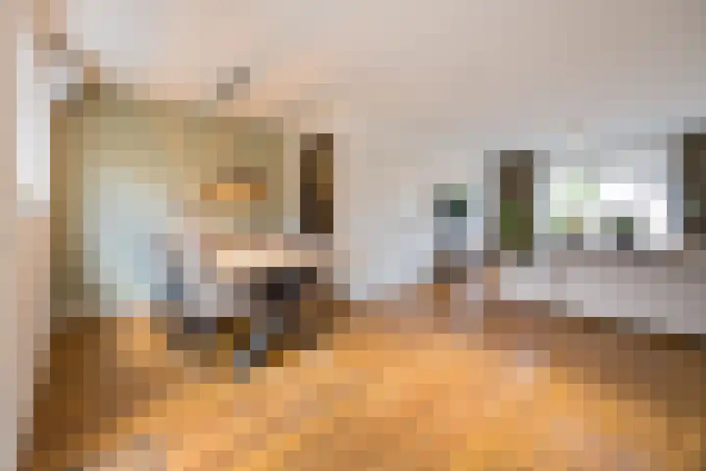 Fazantendrift 6 Gilze thumbnail 15