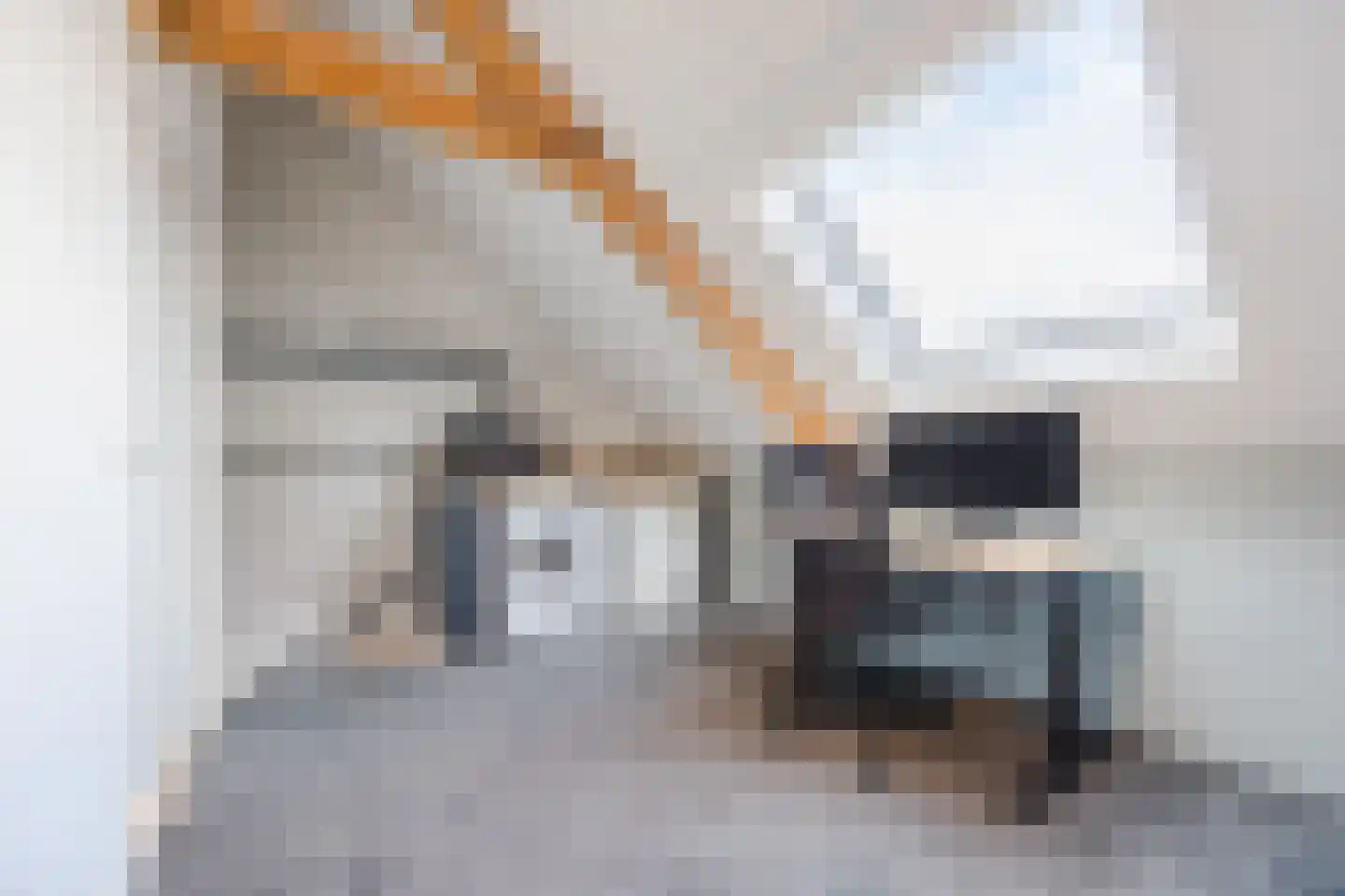 Fazantendrift 6 Gilze thumbnail 46