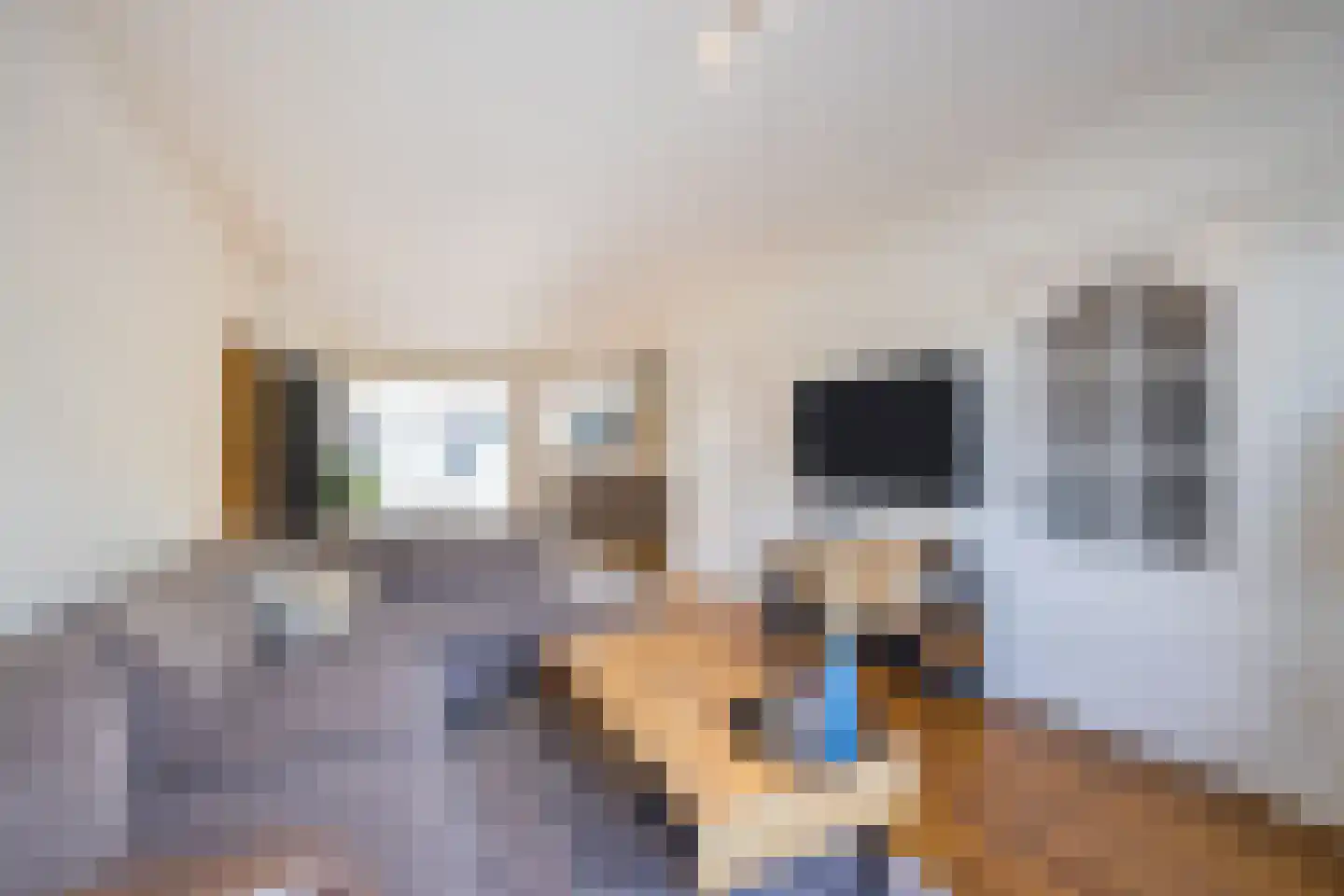 Fazantendrift 6 Gilze thumbnail 9