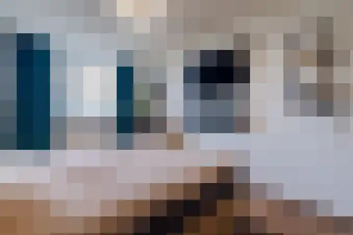 Fazantenerf 2 IJsselstein thumbnail 17