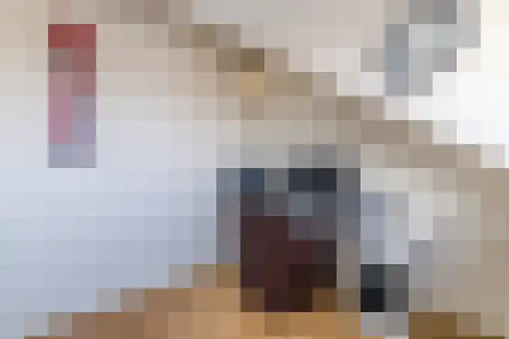 Fazantenerf 2 IJsselstein thumbnail 37