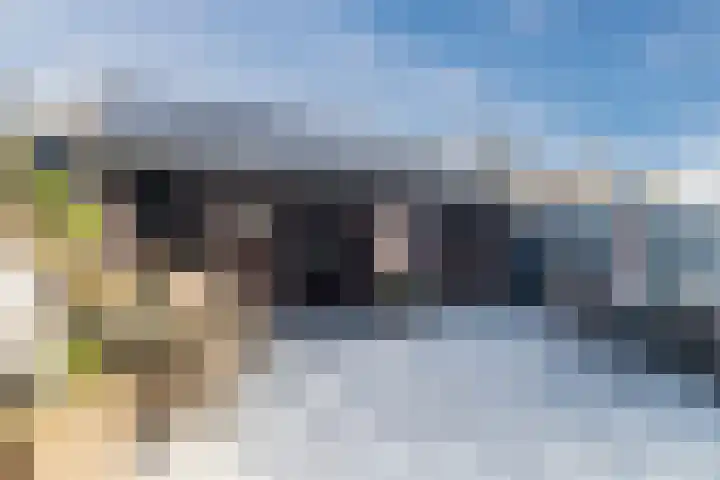 Fazantenerf 2 IJsselstein thumbnail 44