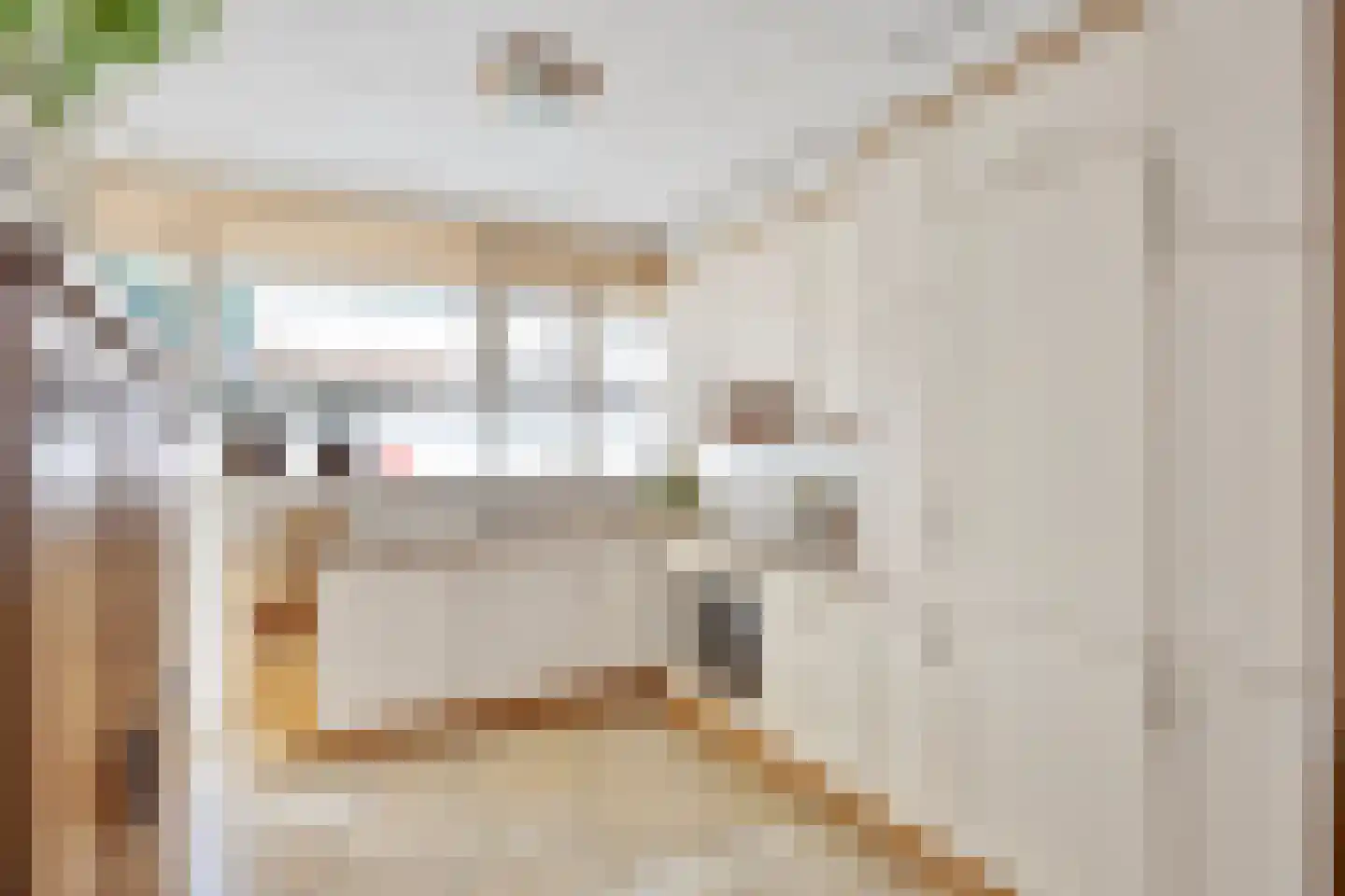 Fazantenhoek 6 Leiden thumbnail 18