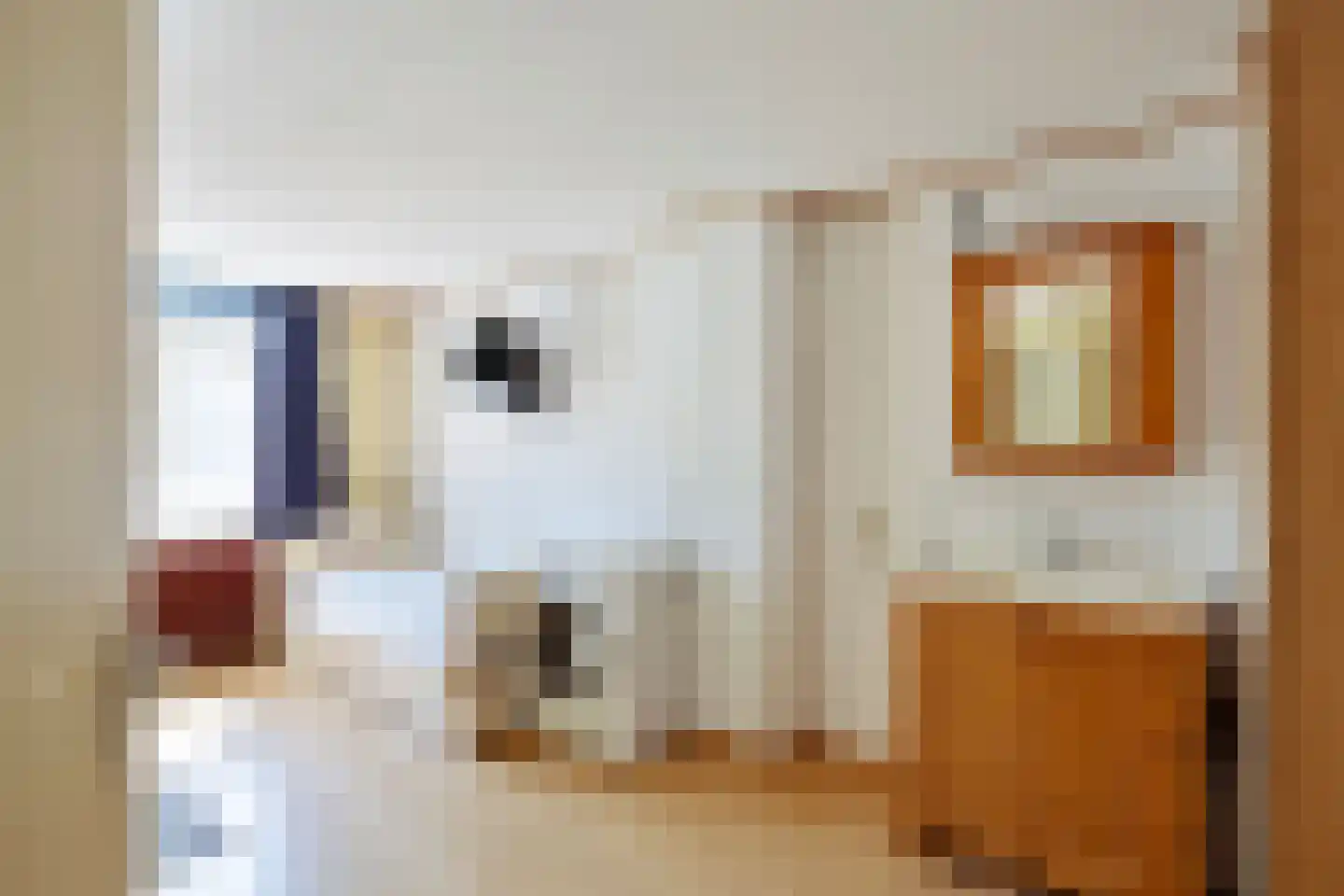 Fazantenhoek 6 Leiden thumbnail 36