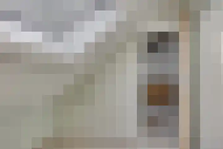 Fazantenhoeve 9 Leusden thumbnail 21