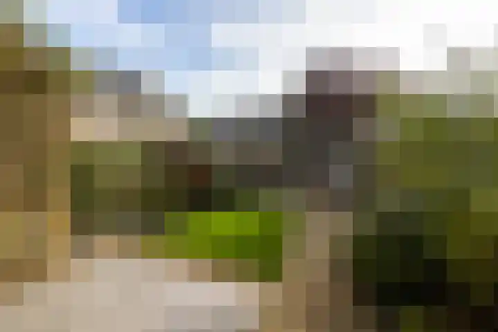 Fazantenhoeve 9 Leusden thumbnail 26