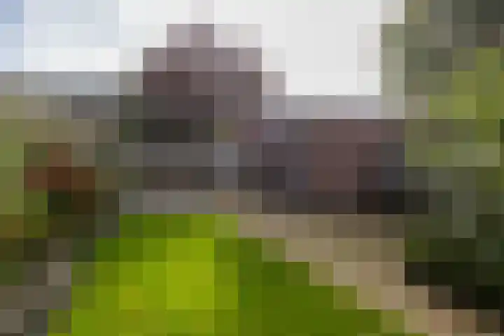Fazantenhoeve 9 Leusden thumbnail 27