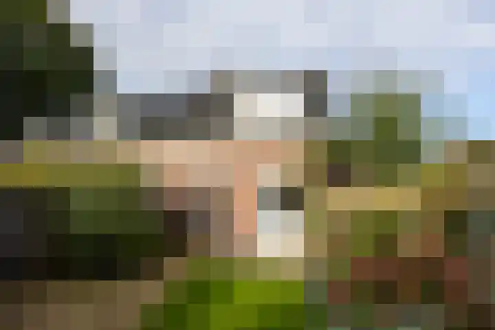 Fazantenhoeve 9 Leusden thumbnail 28