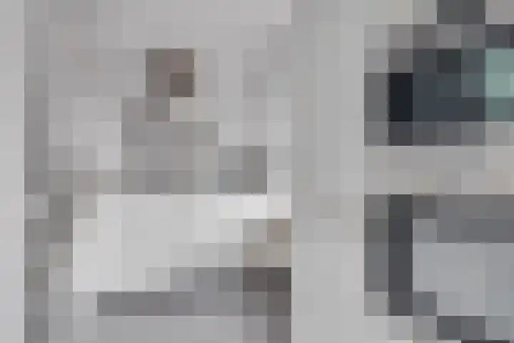 Fazantenhoeve 9 Leusden thumbnail 8