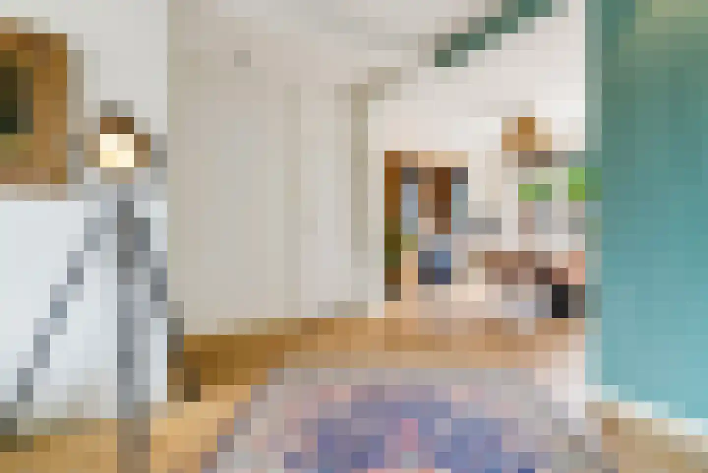 Fazantenhof 126 Eemnes thumbnail 13