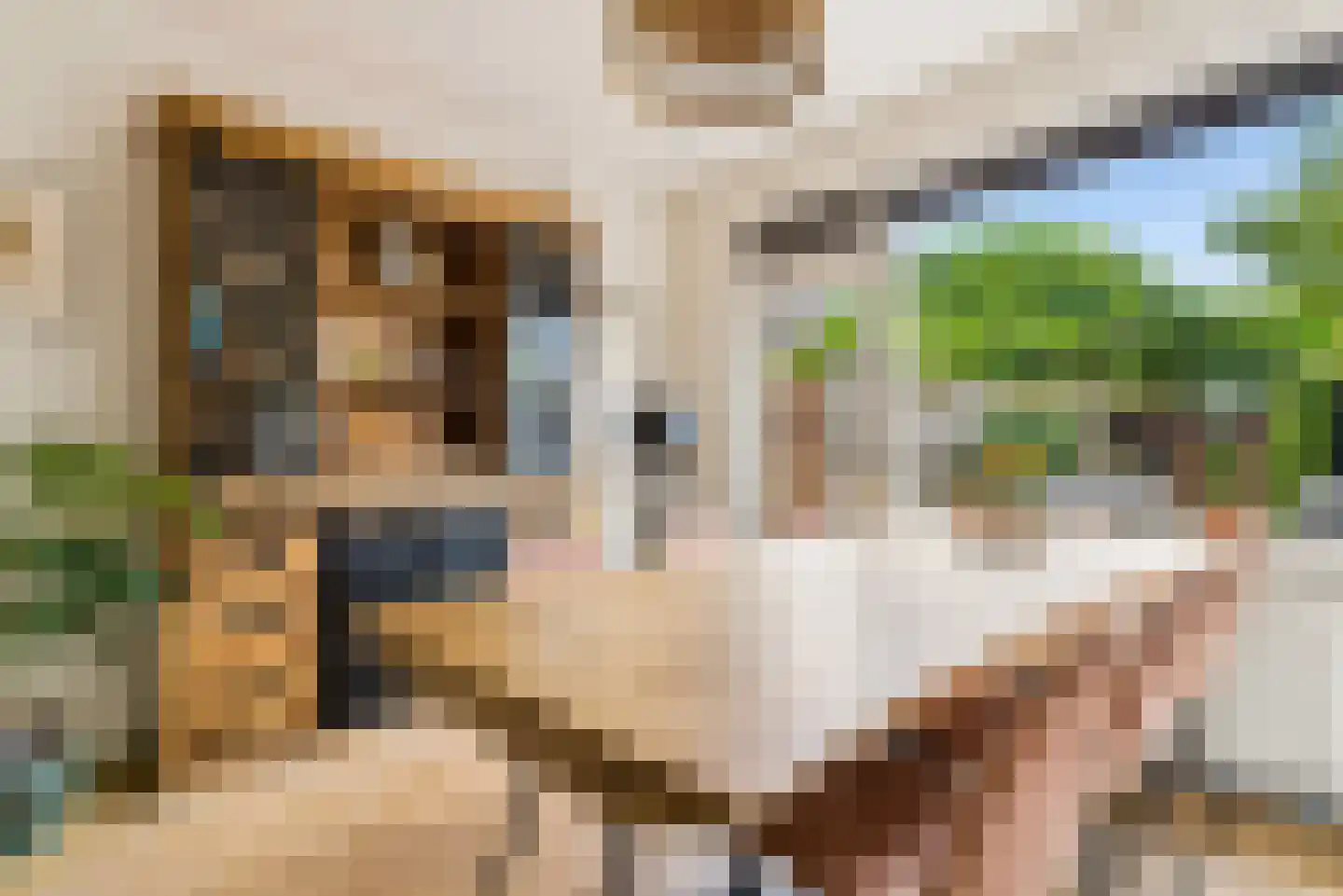 Fazantenhof 126 Eemnes thumbnail 16