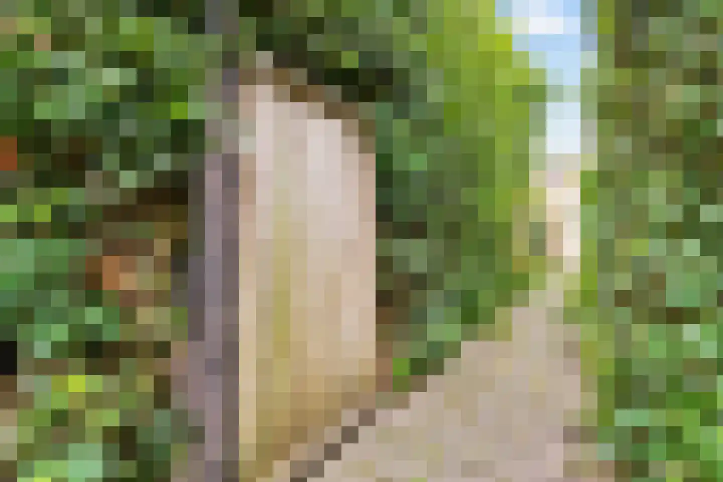Fazantenhof 126 Eemnes thumbnail 45