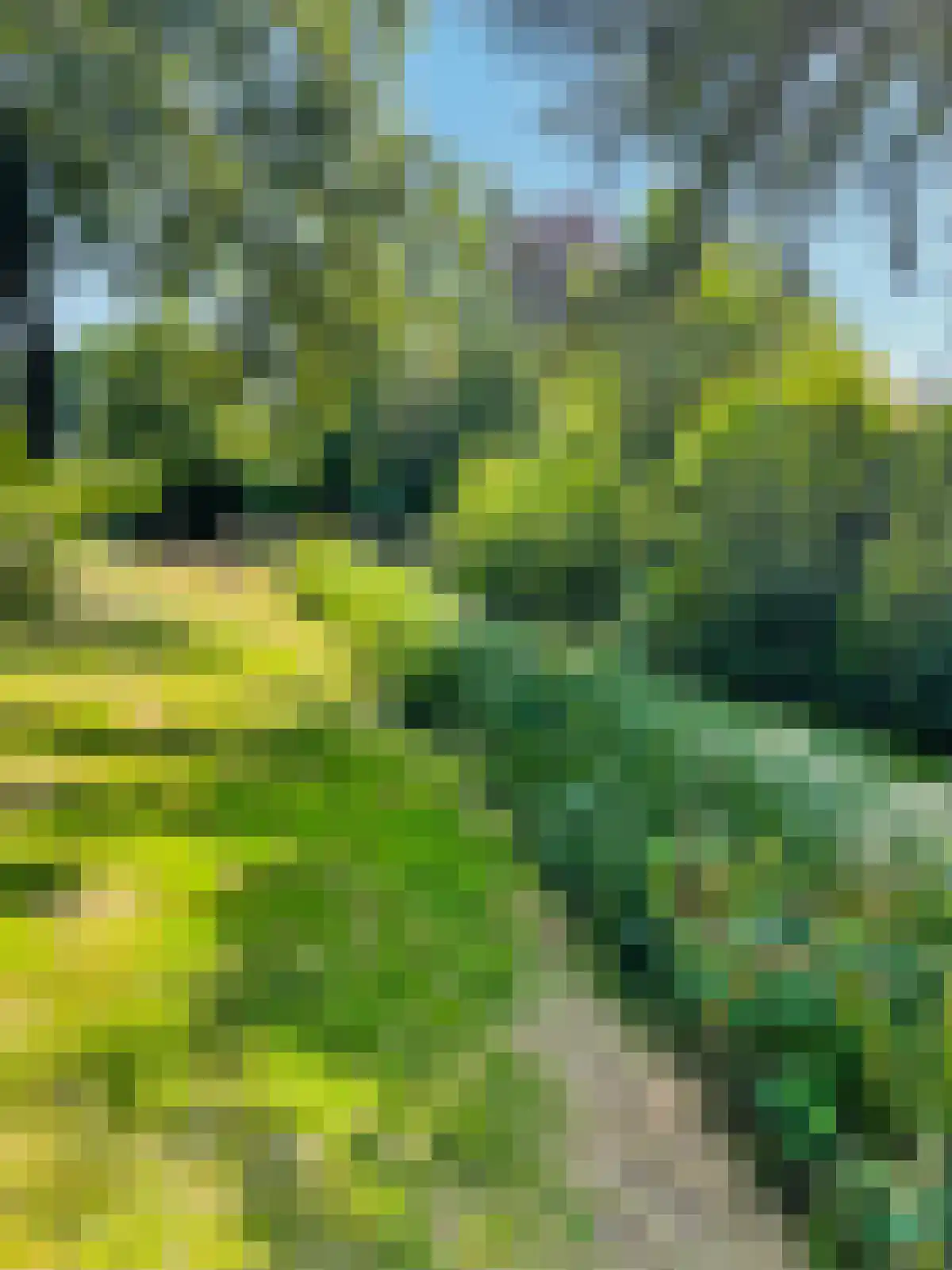 Fazantenhof 126 Eemnes thumbnail 50