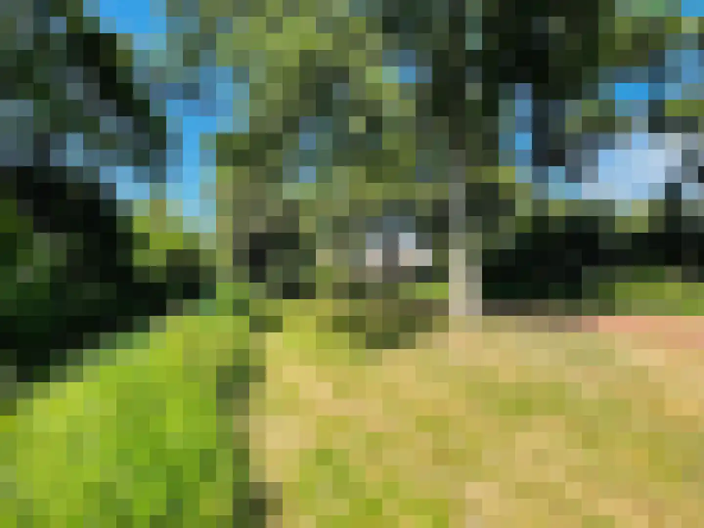 Fazantenhof 126 Eemnes thumbnail 53