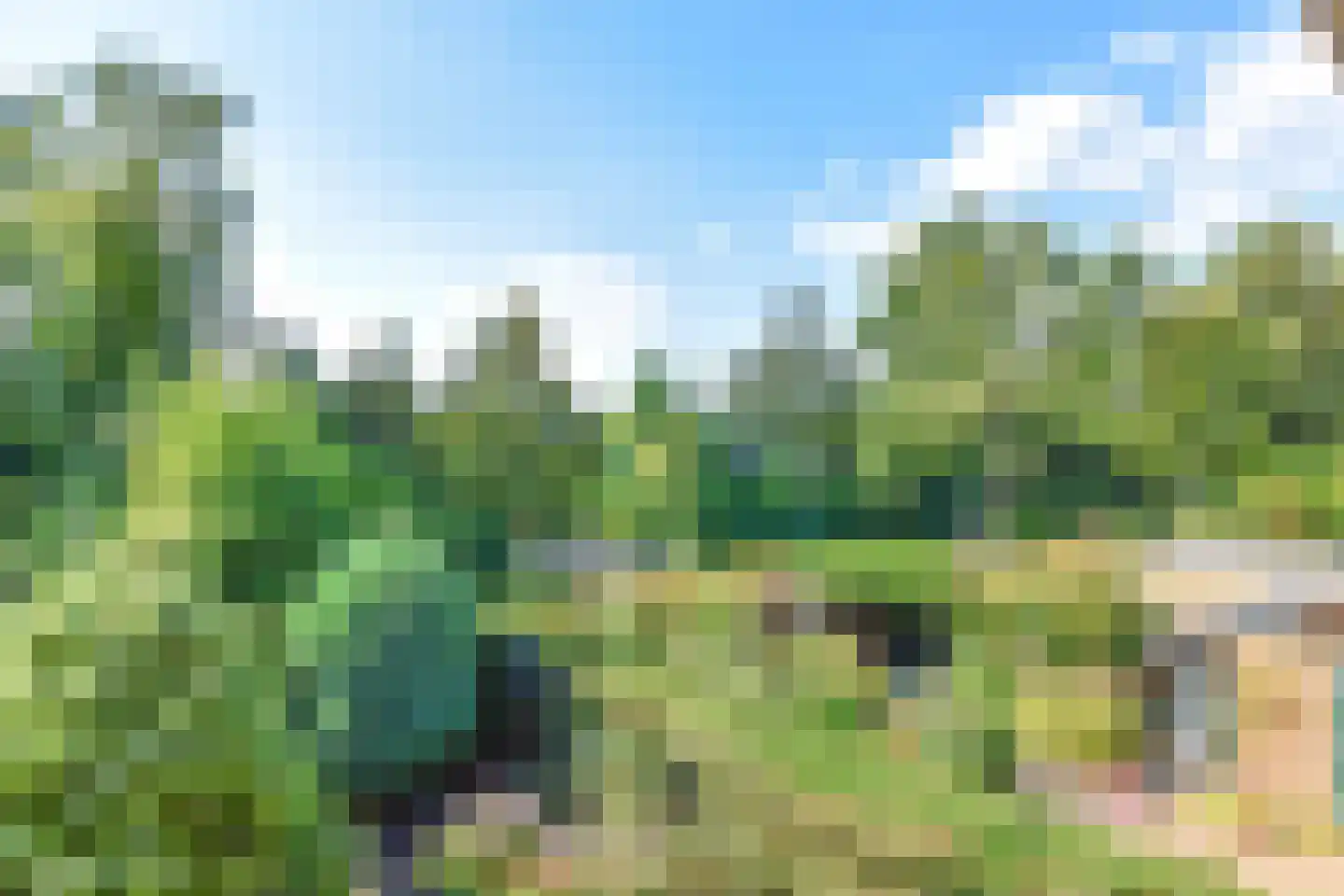 Fazantenhof 131 Eemnes thumbnail 17