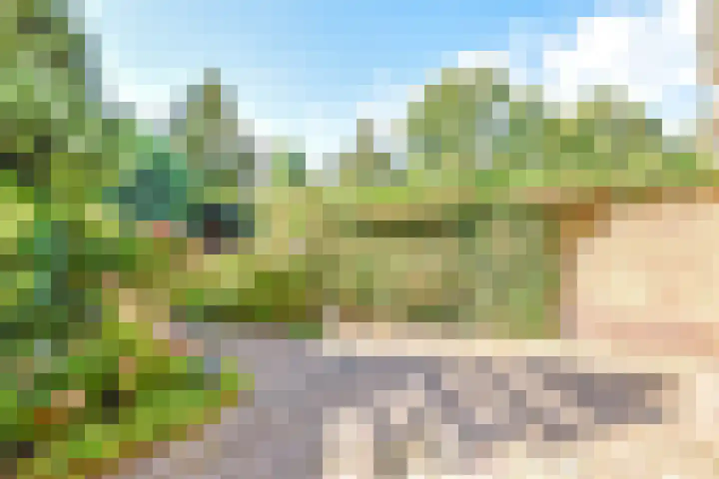 Fazantenhof 131 Eemnes thumbnail 4