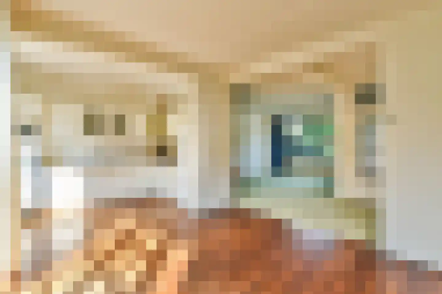 Fazantenhof 131 Eemnes thumbnail 7