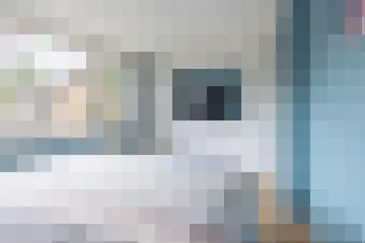 Fazantenhof 19 Eemnes thumbnail 23