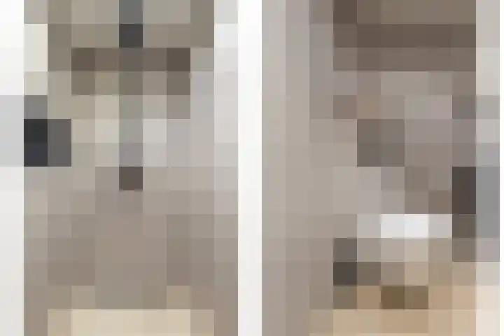 Fazantenhof 19 Eemnes thumbnail 26