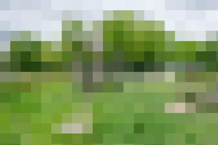 Fazantenhof 19 Eemnes thumbnail 47
