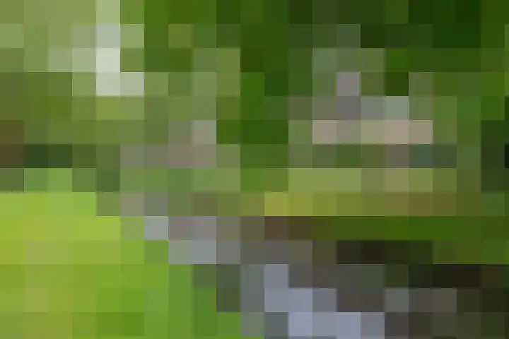 Fazantenhof 19 Eemnes thumbnail 48