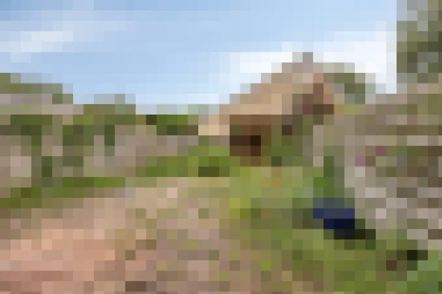 Fazantenhof 22 Schagen thumbnail 27