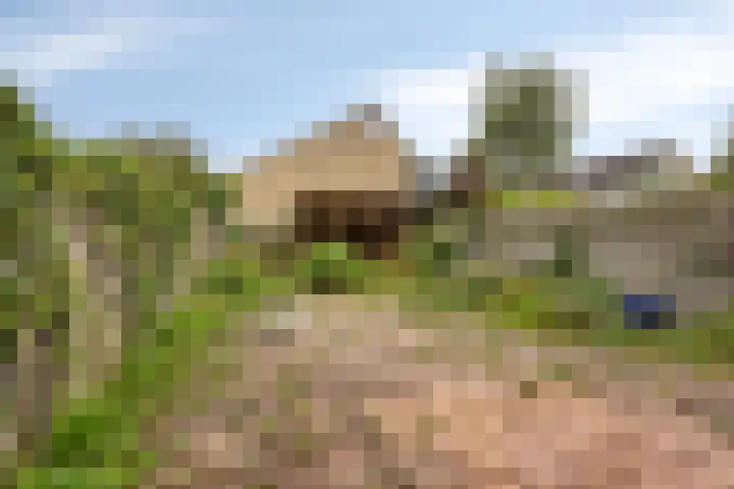Fazantenhof 22 Schagen thumbnail 28