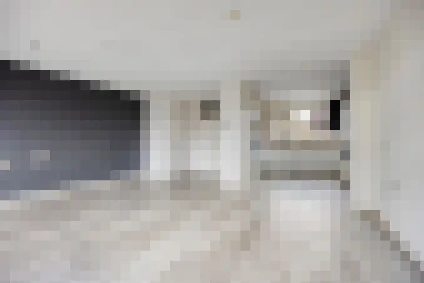 Fazantenhof 22 Schagen thumbnail 9
