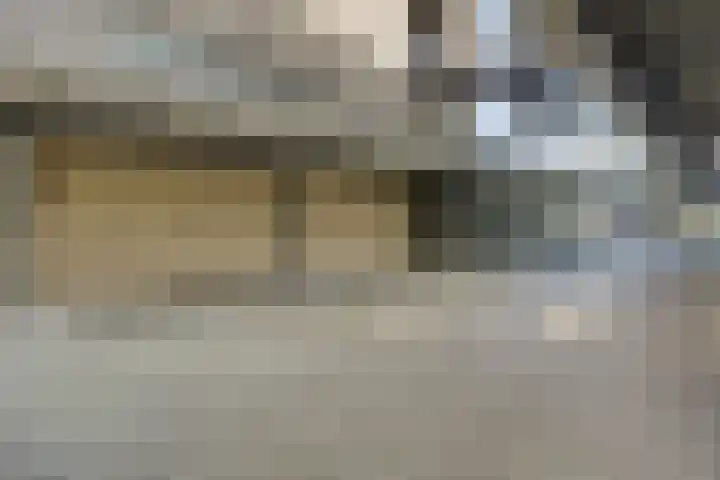Fazantenhof 27 Middelburg thumbnail 18