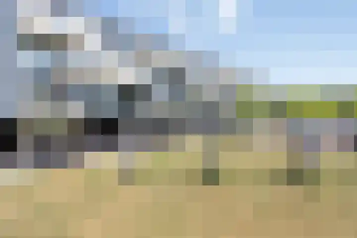 Fazantenhof 27 Middelburg thumbnail 19