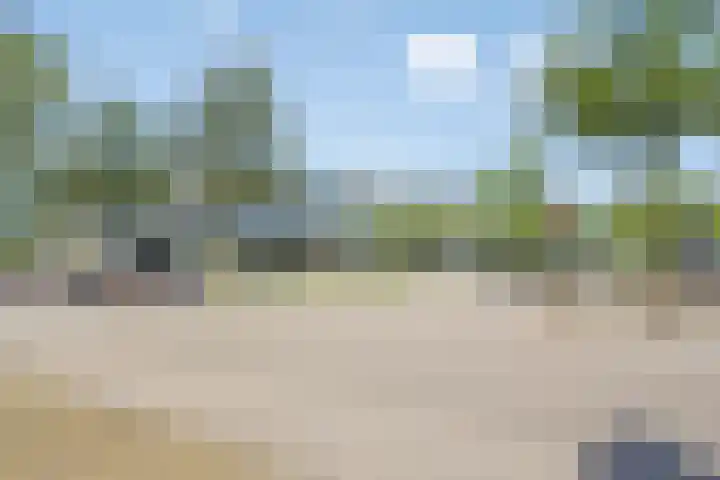 Fazantenhof 27 Middelburg thumbnail 20