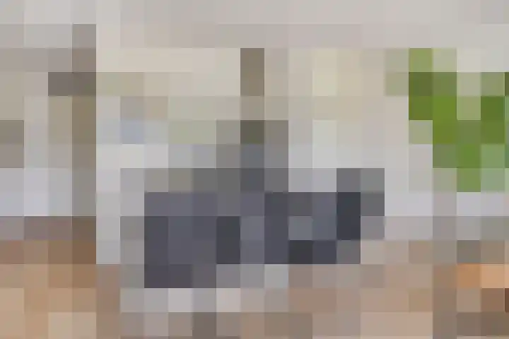 Fazantenhof 27 Middelburg thumbnail 8