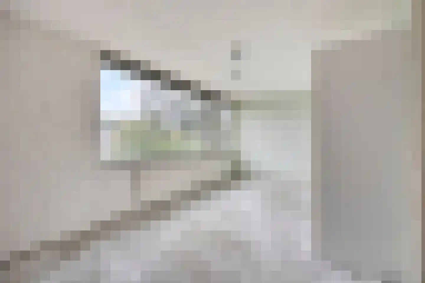 Fazantenhof 4 Schagen thumbnail 14