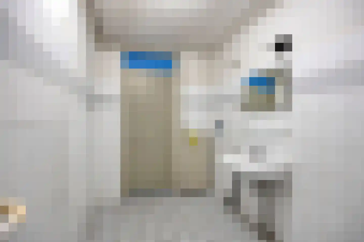 Fazantenhof 4 Schagen thumbnail 18