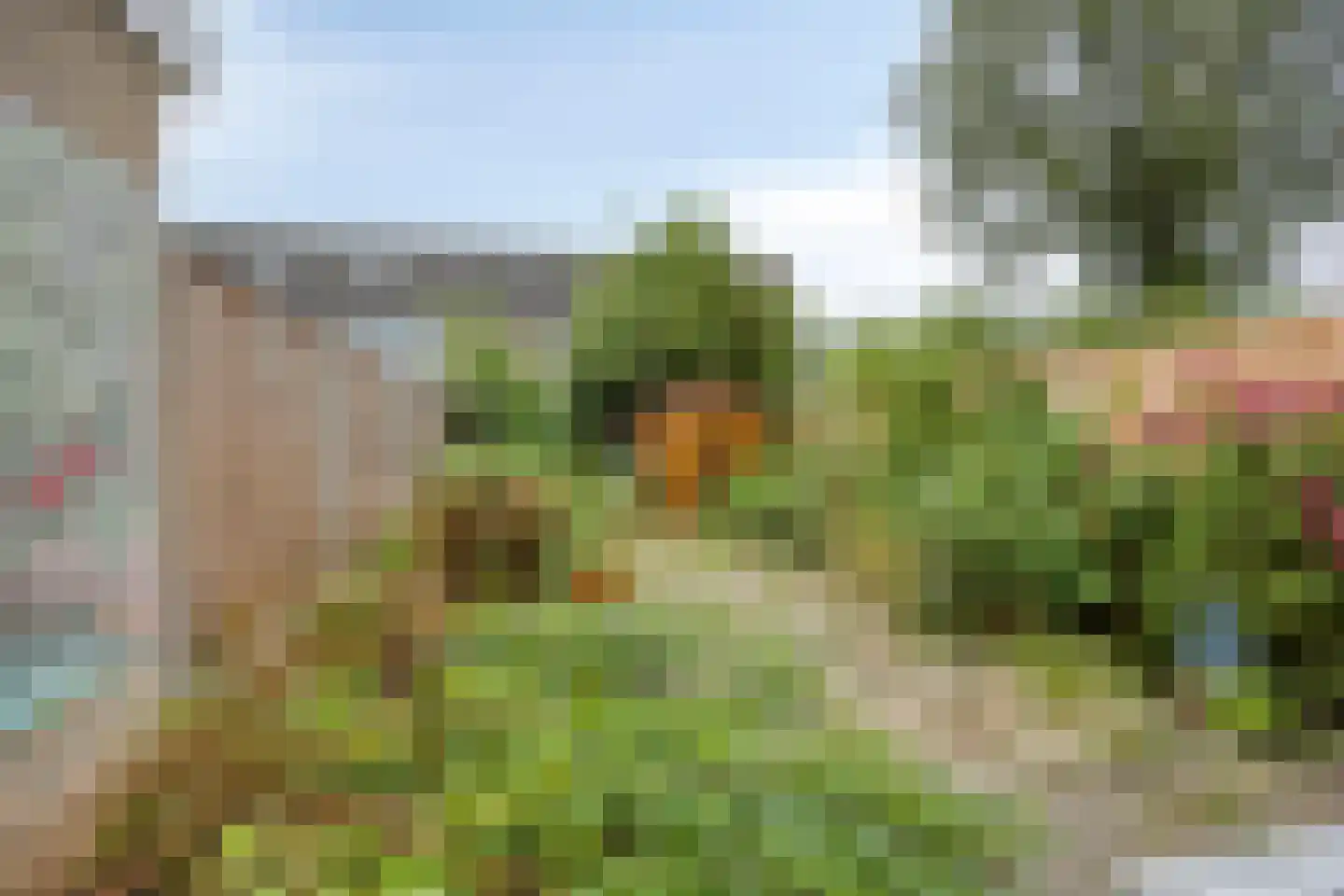 Fazantenhof 4 Schagen thumbnail 25