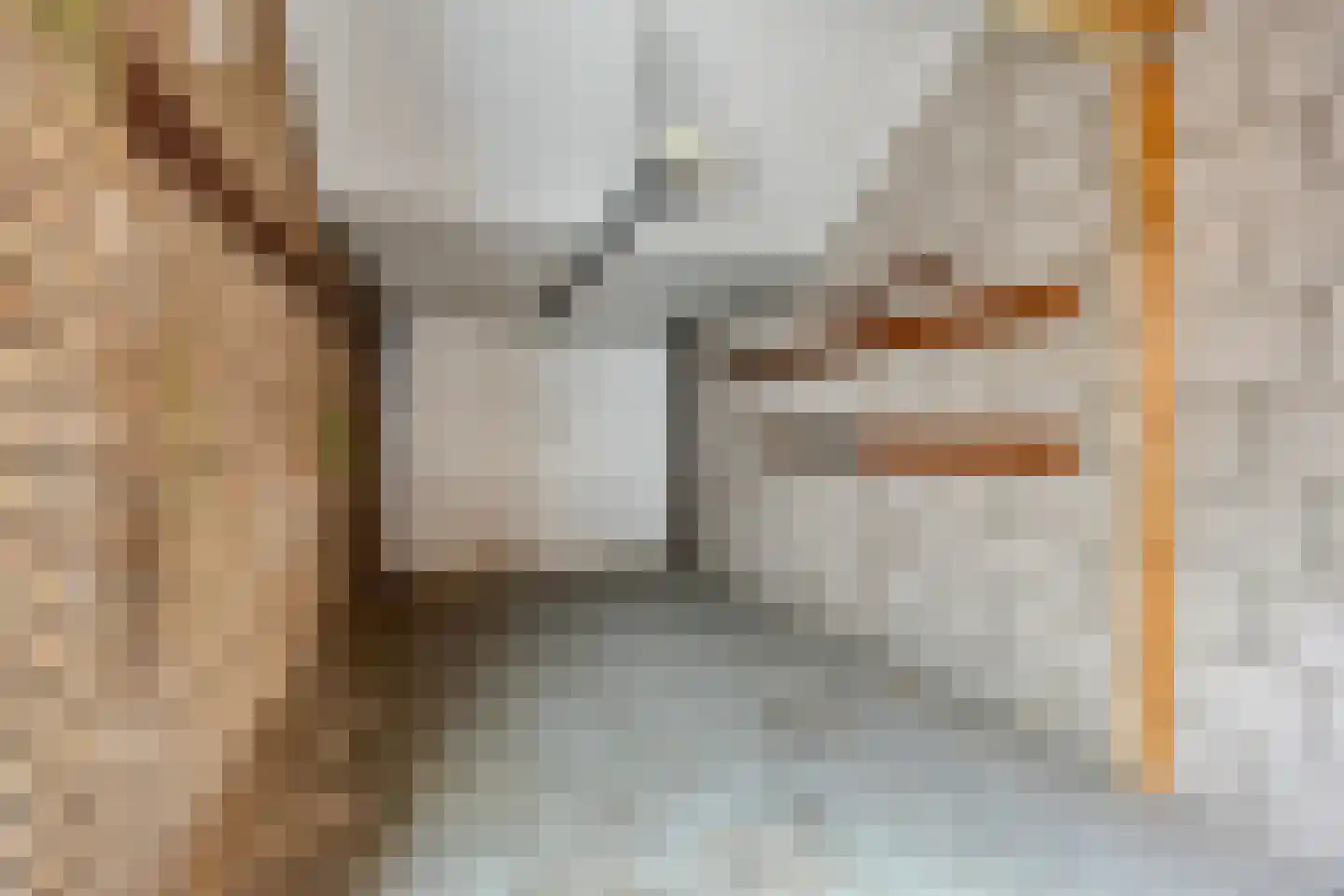 Fazantenhof 4 Schagen thumbnail 28