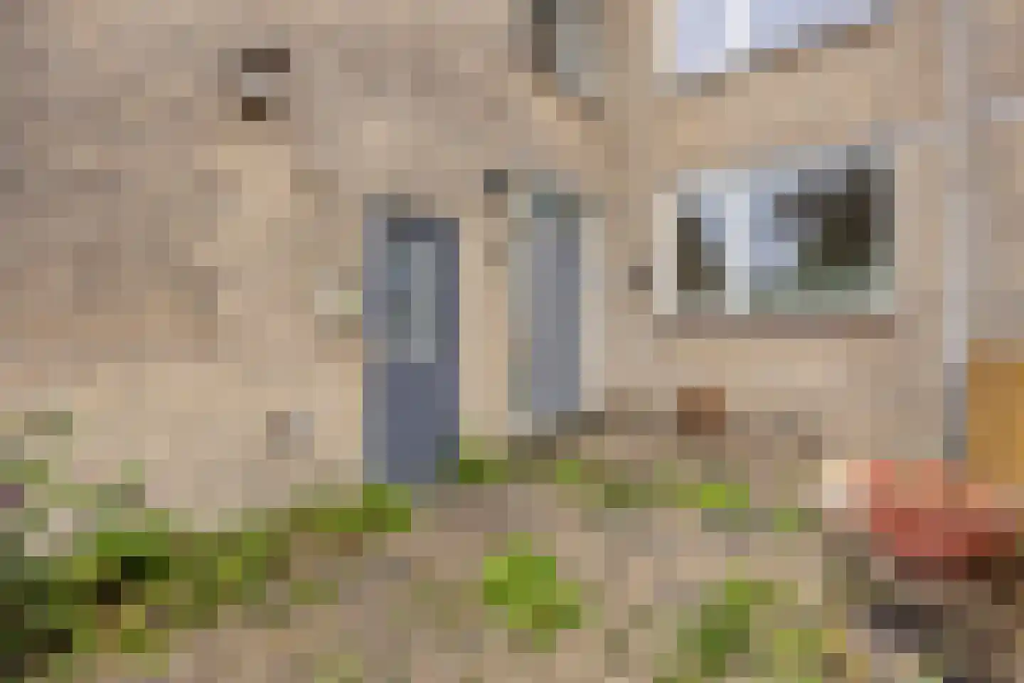 Fazantenhof 4 Schagen thumbnail 29