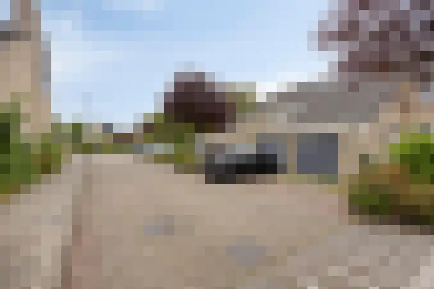 Fazantenhof 4 Schagen foto 3