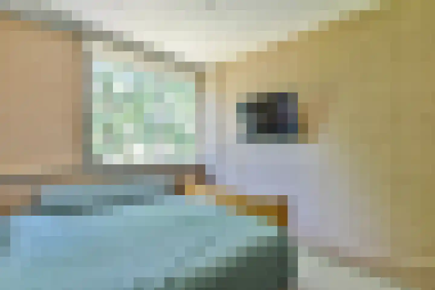 Fazantenhof 46 Eemnes thumbnail 10
