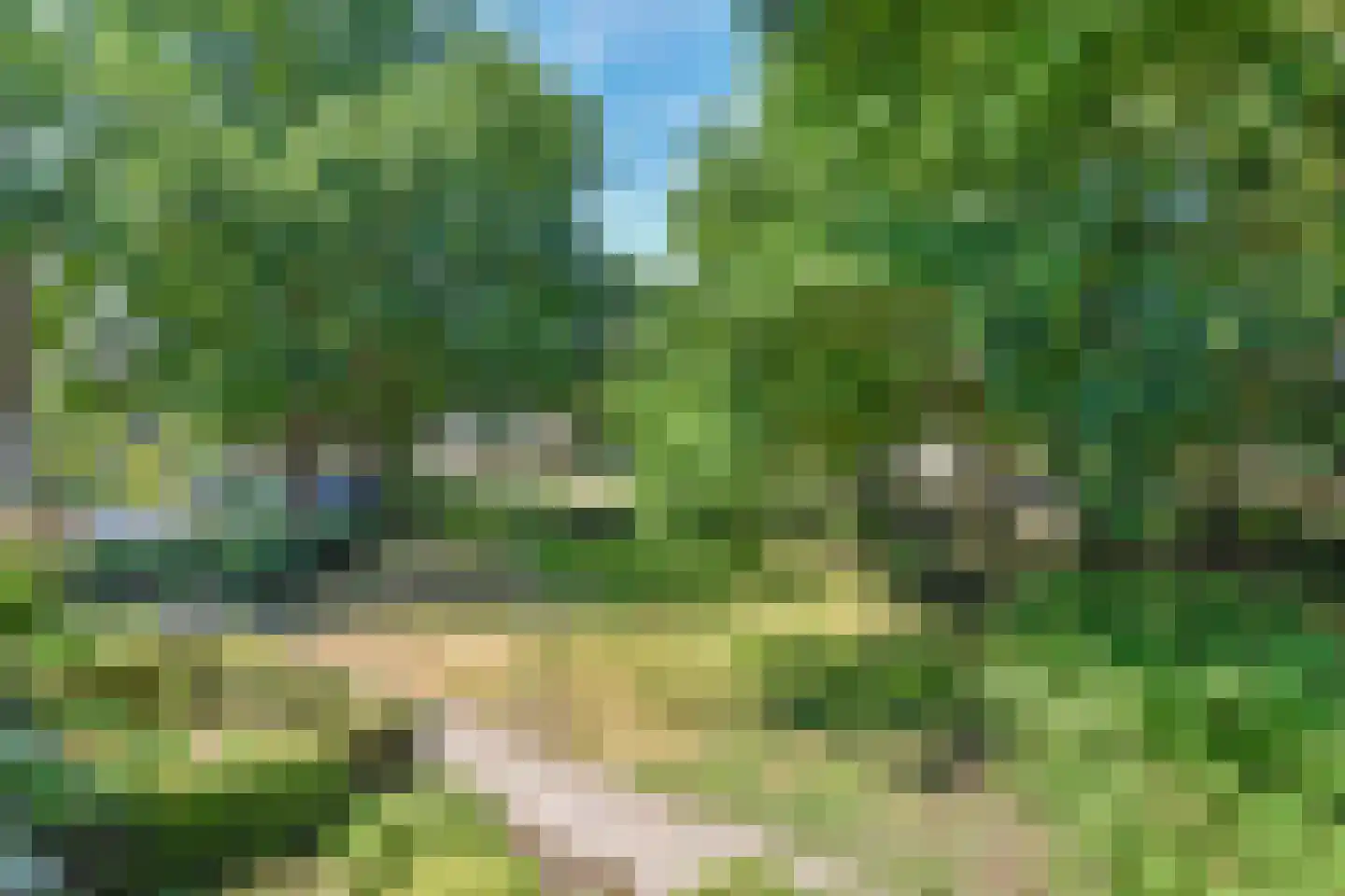 Fazantenhof 46 Eemnes thumbnail 15