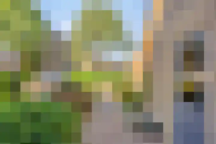 Fazantenhof 47 Schagen thumbnail 10