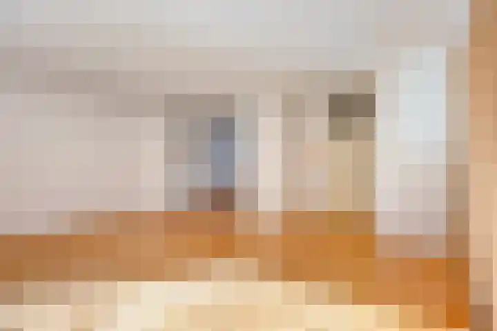 Fazantenhof 47 Schagen thumbnail 15