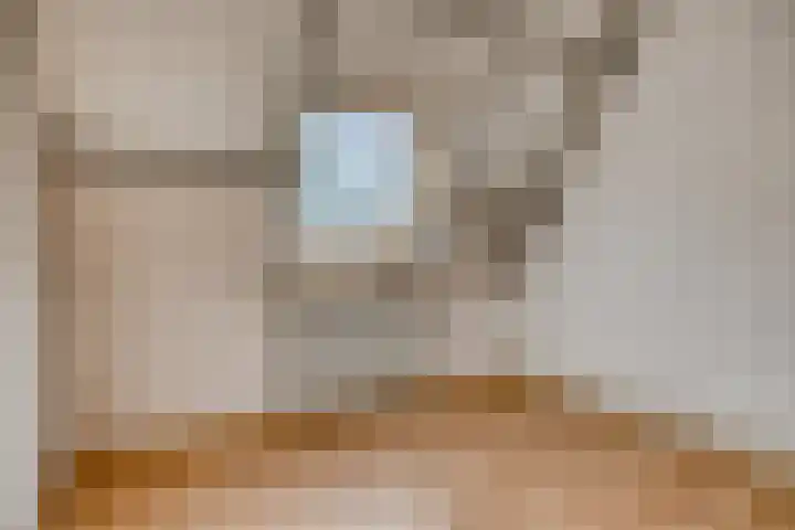Fazantenhof 47 Schagen thumbnail 31