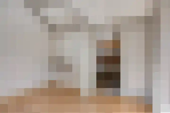Fazantenhof 47 Schagen thumbnail 32