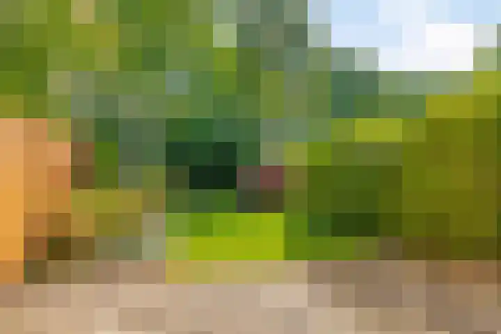 Fazantenhof 47 Schagen thumbnail 33