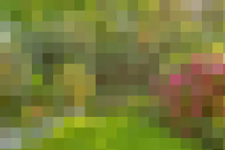 Fazantenhof 47 Schagen thumbnail 34