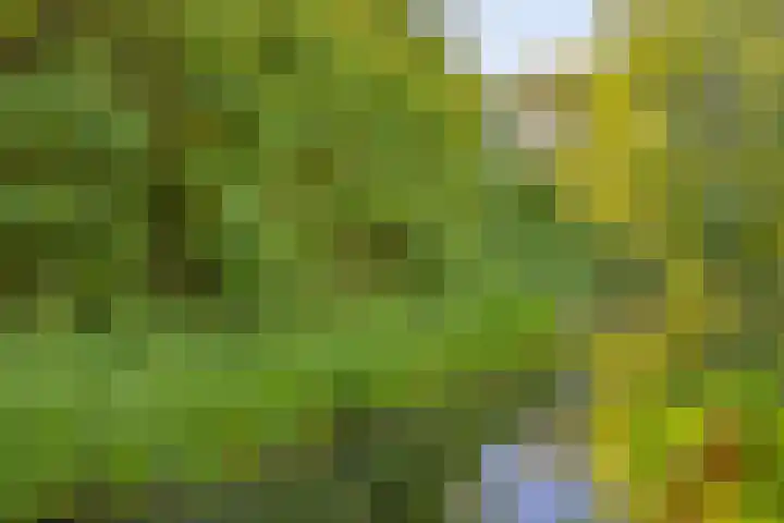 Fazantenhof 47 Schagen thumbnail 35