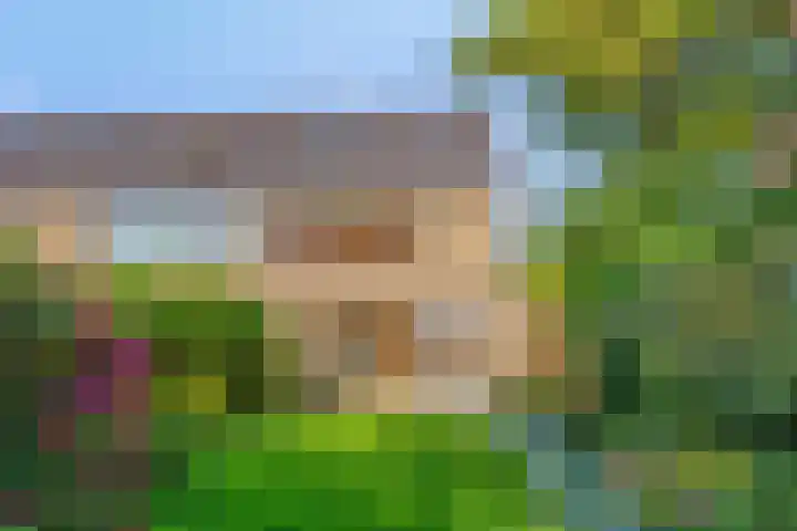 Fazantenhof 47 Schagen thumbnail 36